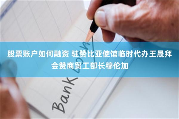 股票账户如何融资 驻赞比亚使馆临时代办王晟拜会赞商贸工部长穆伦加