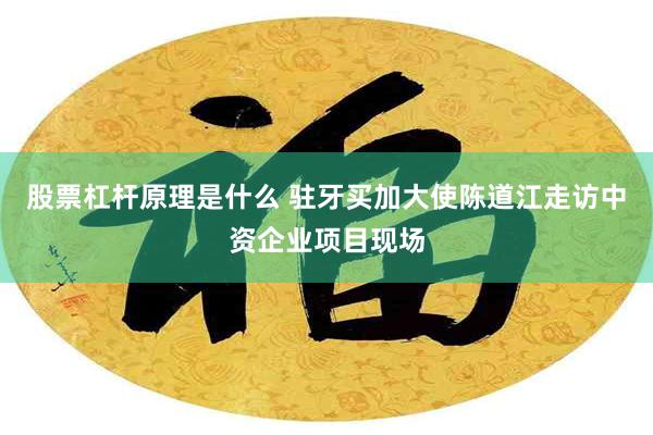 股票杠杆原理是什么 驻牙买加大使陈道江走访中资企业项目现场