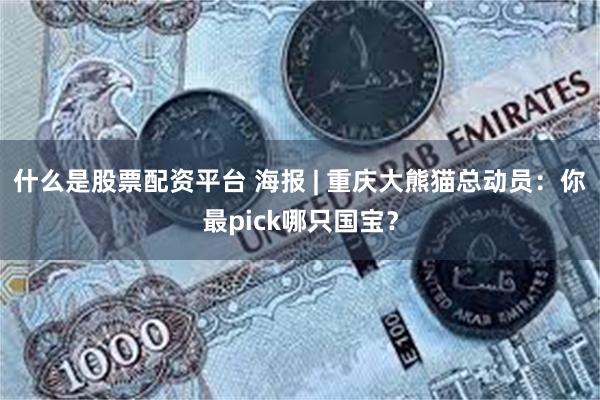 什么是股票配资平台 海报 | 重庆大熊猫总动员：你最pick哪只国宝？