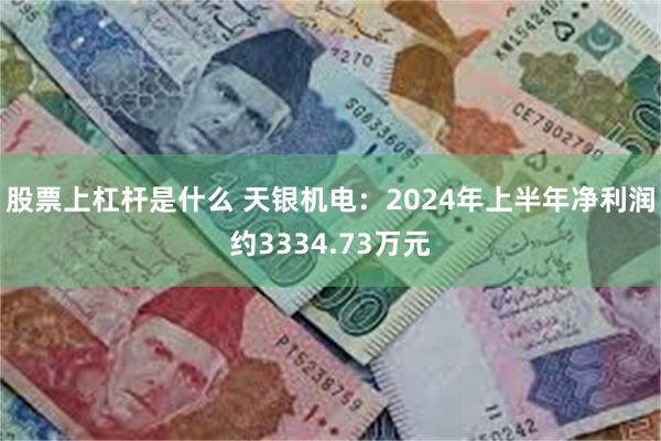 股票上杠杆是什么 天银机电：2024年上半年净利润约3334.73万元