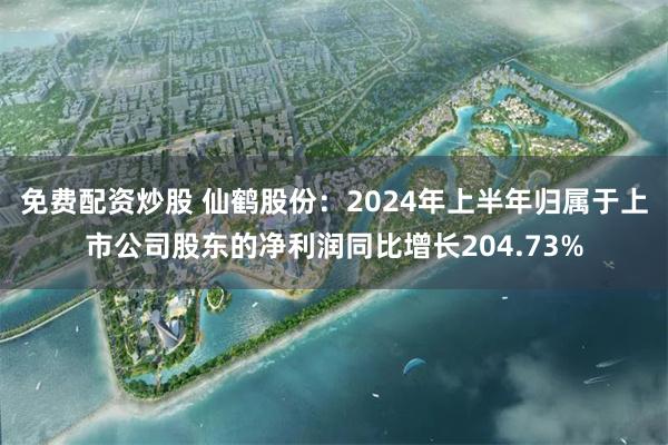 免费配资炒股 仙鹤股份：2024年上半年归属于上市公司股东的净利润同比增长204.73%