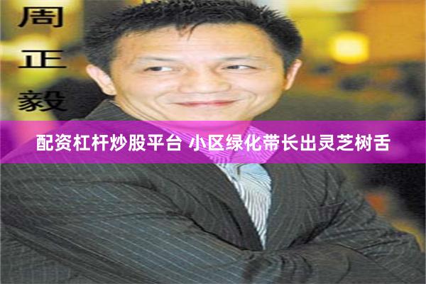 配资杠杆炒股平台 小区绿化带长出灵芝树舌