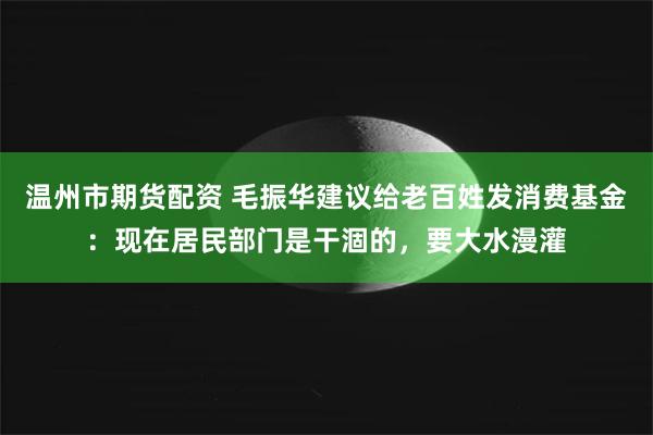 温州市期货配资 毛振华建议给老百姓发消费基金：现在居民部门是干涸的，要大水漫灌