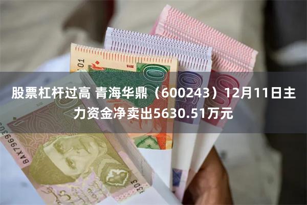 股票杠杆过高 青海华鼎（600243）12月11日主力资金净卖出5630.51万元