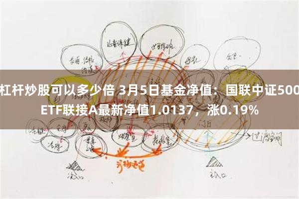 杠杆炒股可以多少倍 3月5日基金净值：国联中证500ETF联接A最新净值1.0137，涨0.19%